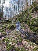 IMG_3959.psdNőnapi túra.jpg IMG_3959.psdNőnapi túra.jpg